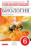 Акперова, Сысолятина, Сонин